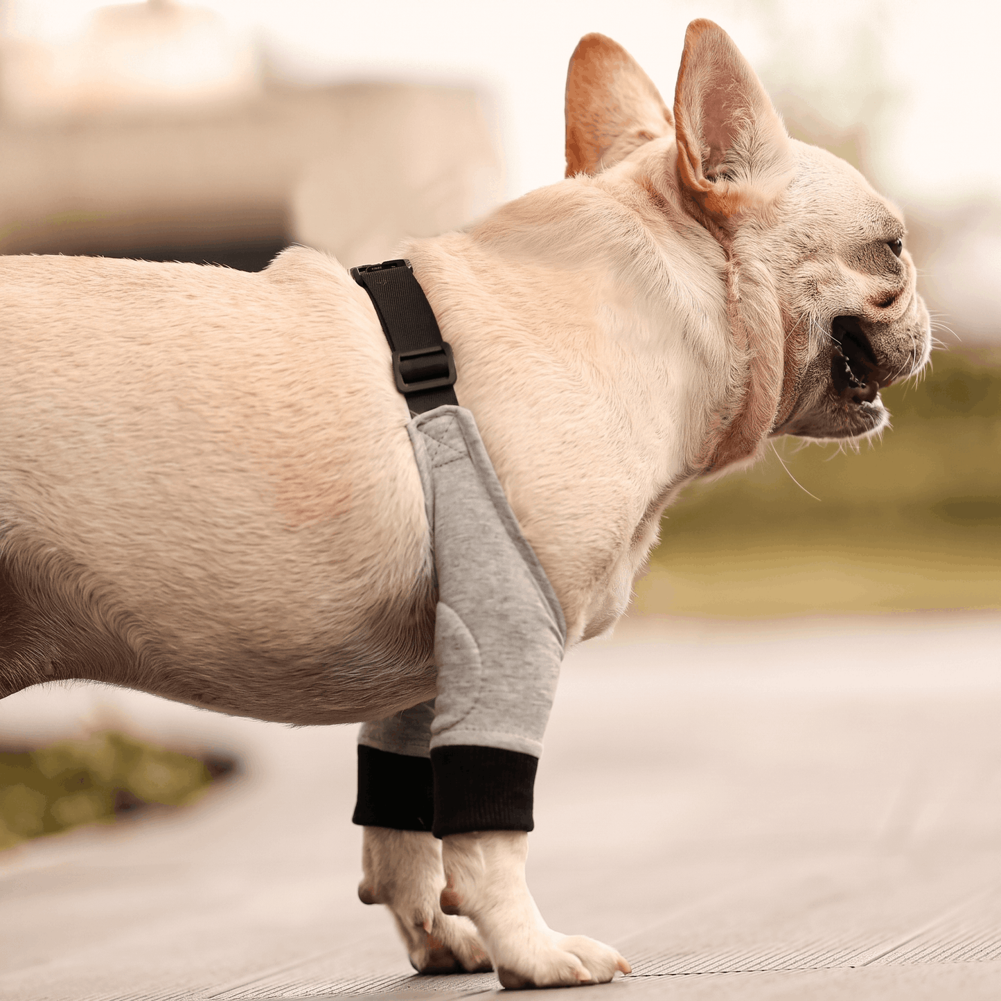 UpLyft Support Sleeve